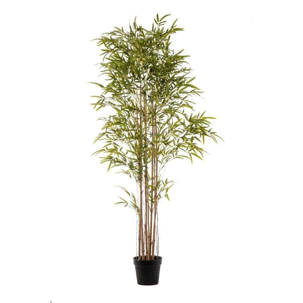 PIANTA BAMBOO 3373 FOGLIE CM.2